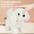 Hopearl Walking Dog Bichon Interactive Electronic Pet Plush Toy Puppy Woof and Moving Animated Nodding Head Gifts for Toddlers Birthday, White, 7'...