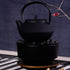PATKAW Cast Iron Teapot Japanese Tetsubin Kettle Stovetop Tea Kettle Loose Leaf Tea Pot for Boiling Hot Water Tea Black (7.20X7.00X4.30cm)...
