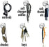 Teacher TACKz 66 Tacks - School Supplies for Teacher's Class Room - 2 in 1 Push pin Hook tack • Banners, Signs, Word Wall Name Letter Fact Family ...