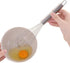 Aniso Stainless Steel Whisk (8.4 inches, Silver)...