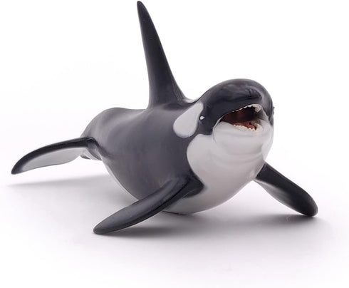 Papo - hand-painted - figurine - Marine Life - Killer Whale Figure-56000 - Collectible - For Children - Suitable for Boys and Girls - From 3 years...