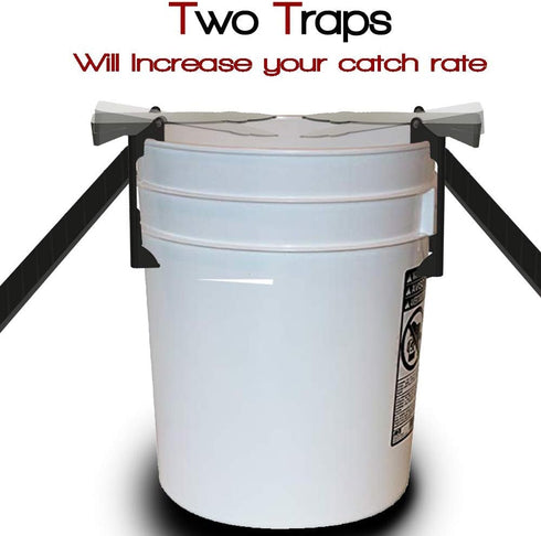 RinneTraps - 2 Pack Walk The Plank Mouse Trap | Bucket Mouse Trap | Mini Flip N Slide | 2 Free Ramps Included- Multi Catch, Auto Resetting | Human...