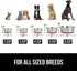 Gorilla Grip Stainless Steel Metal Dog Bowl Set of 2, Rubber Base, Heavy Duty Feeding Dishes, Food Grade BPA Free, Less Sliding, Quiet Pet Bowls f...