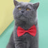 Orange Dog Bow Ties with Adjustable Collar Pet Neckties Cat Bow Tie Dog Bowtie Collar Dog Bows Grooming Solid Puppy Neckties Cat Collars Basic Dog...