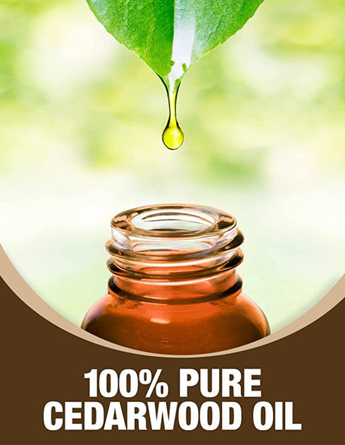 Ethereal Nature Pure Essential Oil 5ml 3 Pack- The Great Outdoors (Cinnamon Clove and Cedar)...