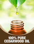 Ethereal Nature Pure Essential Oil 5ml 3 Pack- The Great Outdoors (Cinnamon Clove and Cedar)...