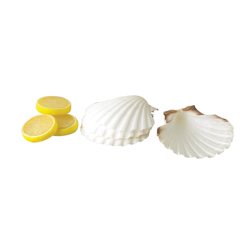 Maine Man Natural Baking Shells, 4-Inches, Set of 4...