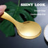 Stainless Steel Mini Spoons for Desserts Metal Small Cute Spoons for Ice Scream Coffee Sugar Spoon Salt Jam Honey Mustard Spoons Fit in Jar Spices...