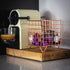 Barista & Co Coffee Pod Cage - Stainless Steel Large Capacity 80+ Coffee Capsule Holder - Copper with Stamp Logo Coffee Pod Storage Compatible wit...