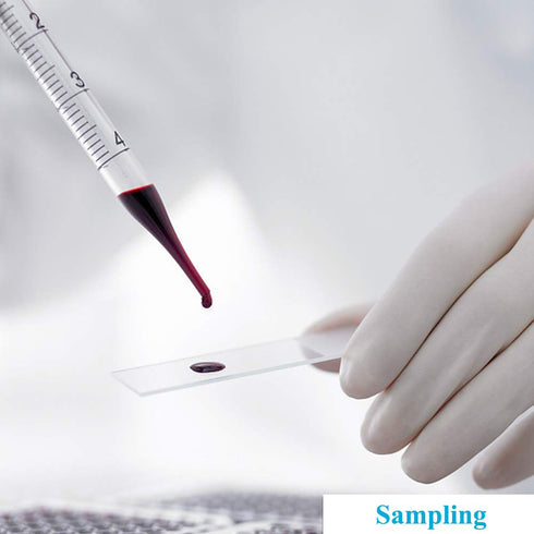 5PCS Thick Glass Graduated Dropper Pipettes Fluid and Liquid Pipettors 1ml 2ml 5ml 10ml 2PCS for Each with Caps and 2PCS Washing Brushes (33cm-13i...