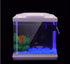 Oubest Fish Tank Rocks Glow Blue/Glow in The Dark Pebbles for Garden/Fish Tank/Aquarium/Plant Pots/Bonsai Walkway/Driveway 100pcs...