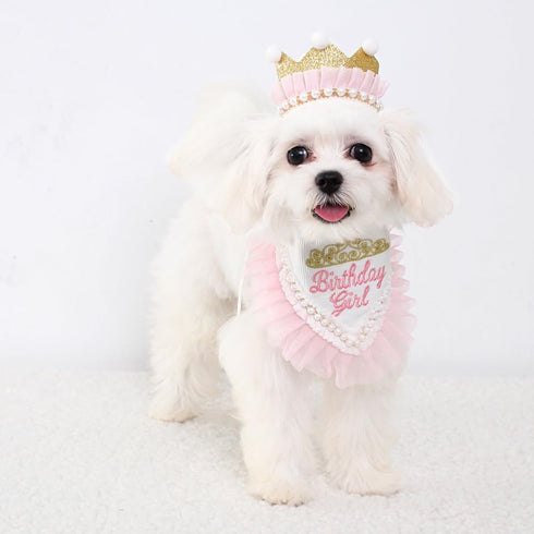 Girl Dog Birthday Hat Bandana kit, Princess Dog Birthday Decorations Girls with Crown for Cats Dogs 1st Birthday Gift Pet Birthday Party Dog Birth...