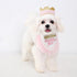Girl Dog Birthday Hat Bandana kit, Princess Dog Birthday Decorations Girls with Crown for Cats Dogs 1st Birthday Gift Pet Birthday Party Dog Birth...