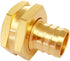 2PCS Solid Brass 3/4" PEX Barb to 3/4" GHT Female Garden Hose End Connector Splicer Mender Repair Fitting...