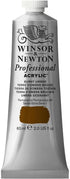Winsor & Newton Professional Acrylic Paint, 60ml (2-oz) Tube, Burnt Umber...