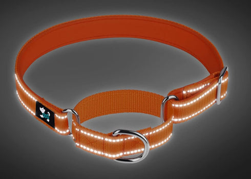 Martingale Heavy Duty Nylon Dog Collar, Soft Neoprene Padded Breathable Nylon Pet Collar for Small Medium Large Dogs (S, Blue)...