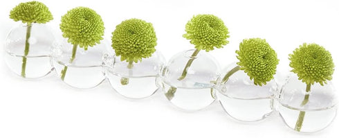 CHIVE ‘Caterpillar’ Bubble Bud Vase for Centerpieces — 6 Hole Multi Chamber Clear Glass Flower Vase for Short Flowers — Small, 10.25” Long...