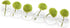 CHIVE ‘Caterpillar’ Bubble Bud Vase for Centerpieces — 6 Hole Multi Chamber Clear Glass Flower Vase for Short Flowers — Small, 10.25” Long...