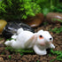 4Pcs Cute Rabbit Miniature Figurines and Cute Squirrel Decorative Fairy Garden Accessories Hand Drawn DIY Miniature Garden Decoration for Rooftop ...