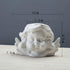 Vaguelly Cute Succulent Planter Angel Statue Head Face Planter Pot Ceramic Flower Pot Cactus Container with Drainage Hole Pens Holder for Indoor O...