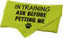 1 Piece in Training Ask Before Petting Dog Bandana Give Me Space Dog Bandana Rescue Dog Bandana (Ask Before Petting D) (Ask Before Petting D)...