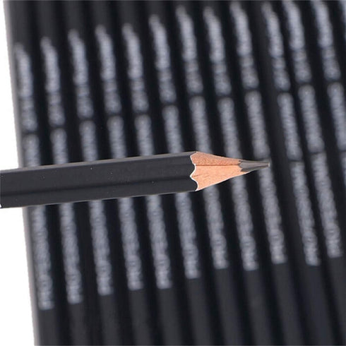 Heshengping Drawing Sketch Pencil Set 14pcs Sketching Pencils 12B 10B 8B 7B 6B 5B 4B 3B 2B B HB 2H 4H 6H Graphite Pencils for Kid Adults Artists S...