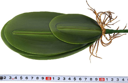 WINOMO Orchid Leaf, Artificial Orchid Plant Fake Flower Leaf Home Office Decoration...