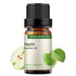 GREENSLEEVES Apple Essential Oil, 10ml Pure Plant-Based Fruit Fragrance Oil for Aromatherapy, Essential Oils for Diffuser, Air Freshener, Massage,...