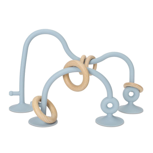 Socub Silicone Baby Sensory Toys, Montessori Educational Toys for Baby 6 12 18 Months, Parent-Child Toys with Suction Cup, 2 Pack(Dusty Blue)...