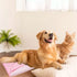 Dog Cooling Mat Foldable Pet Self Cooling Mat Breathable Cat Cooling Pad for Cat Dog Summer Sleeping...