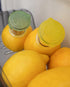 YZC Lemon Squeezer – 2-Pack Lemon-Juicer – BPA-Free Plastic Lime Juicer– Compact Juice Extractor Citrus Press with Lid – Squeeze Lime for Cocktail...