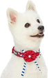 Blueberry Pet 4 Patterns Bon Voyage Sea Lover Adjustable Dog Collar in Timeless Red, Neck 13-16.5", for Medium Breed...