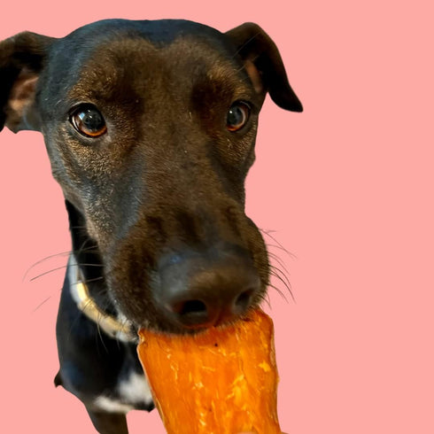 Petaluma Sweet Potato Dog Treats - Premium One-Ingredient Dog Jerky, Healthy Alternative to Meat, Organic Chews for Dogs, with Fiber and Beta-Caro...