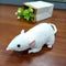 13" Soft Small Grey Rat Mouse Plush Toy Lifelike Mice Stuffed Animals Toys Dolls Gifts for Kids Pets (White)...