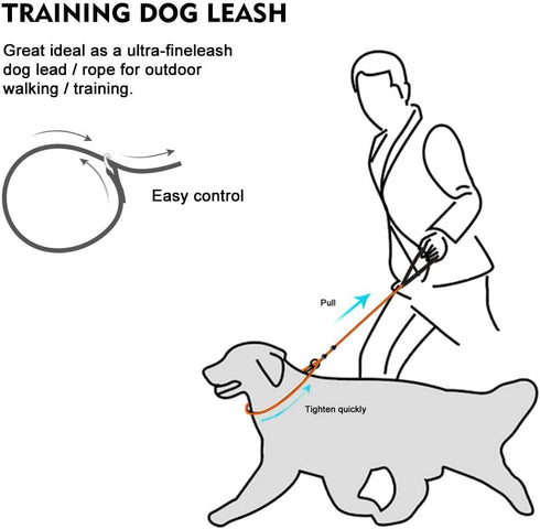Dog Ultra-fine Leash,slip leads for dogs,Pet Training Leash,Training ?leading and holding suitable for Small,Medium or Large Dogs (black, 1.4M lon...