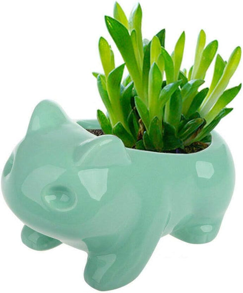 Ceramic frog Planter Pot Succulent Flowerpot Home Office Decorative DIY Painting Art Vase Ceramic succulent Planter Plants Flower Pot with Hole Ho...