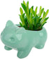 Ceramic frog Planter Pot Succulent Flowerpot Home Office Decorative DIY Painting Art Vase Ceramic succulent Planter Plants Flower Pot with Hole Ho...