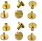 DGOL 50 Pairs Brass Backscrews Golden Leather Fasteners Sturdy Binding Rivets Belt Strap Collar Back Screws PU Studs Length (0.237 inch (6mm))...
