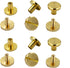 DGOL 50 Pairs Brass Backscrews Golden Leather Fasteners Sturdy Binding Rivets Belt Strap Collar Back Screws PU Studs Length (0.237 inch (6mm))...