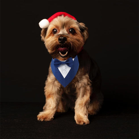 Dog Wedding Bandana, Formal Dog Tuxedo Adjustable Pet Collar with Bow, Small, Medium and Large Dog Wedding Clothing, Birthday Gifts for Dogs (Medi...