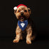 Dog Wedding Bandana, Formal Dog Tuxedo Adjustable Pet Collar with Bow, Small, Medium and Large Dog Wedding Clothing, Birthday Gifts for Dogs (Medi...