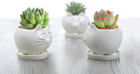 GeLive Cute Cat Succulent Planter Pot with Drainage Tray, White Ceramic Plant Container, Window Box, Unique Animal for Indoor Home Decor (White)...