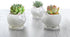 GeLive Cute Cat Succulent Planter Pot with Drainage Tray, White Ceramic Plant Container, Window Box, Unique Animal for Indoor Home Decor (White)...