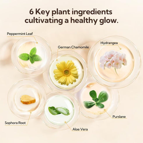 Toner for Face, LANEBNA Glow Recipe Toner, Gentle Face Toner & Pore Minimizer with Vitamin C, Niacinamide for Hydrated, Supple Skin - Vegan, Alcoh...