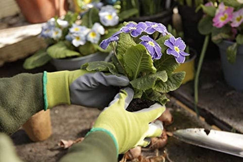 Spear & Jackson SWLGLOVESKEW Kew Gardens Collection Seeding & Weeding Gloves (Pair) - Large...