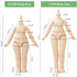 1/12 Scale BJD Doll Body 9.6cm/11cm YMY2 Body Action Figures Replacement Body Doll Accessories (Normal White,11cm)...