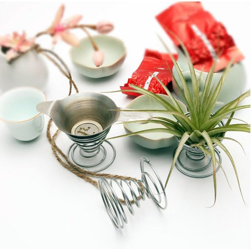 20 Pack Air Plant Stand Container Tillandsia Holder, Stainless Steel Tillandsia Container for Live Tropical Plant Home Office Desktop Decoration S...