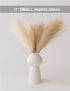 ChagoArt-Pampas Grass Decor Tall-Faux Pampas Grass Small 17"-6 Stems-Beige and Taupe-Brown-Pompas Floral-Fake Pampas Grass-Artificial Pampas Grass...