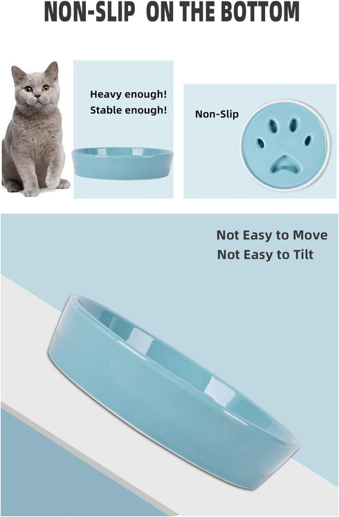 Slow Feeder Cat Bowls, Ceramic Fun Slow Eater Bowl for Cats (Turquoise)...