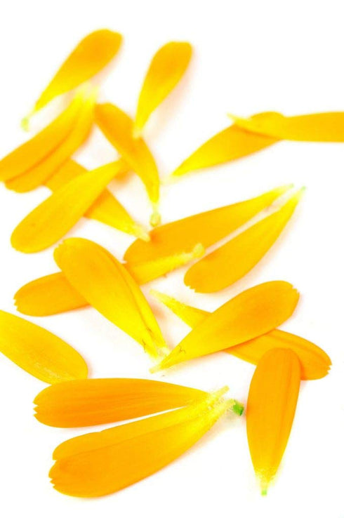 Calendula Petals – Pure Dried Marigold Flower Petals – Vegan | Gluten Free | Non-GMO | No Sugar Added - Net Weight: 0.35oz / 10g - Calendula Offic...